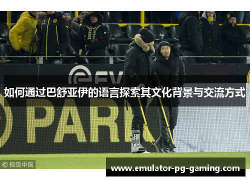 如何通过巴舒亚伊的语言探索其文化背景与交流方式