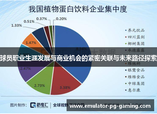 球员职业生涯发展与商业机会的紧密关联与未来路径探索 球员职业生涯发展与商业机会的紧密关联与未来路径探索