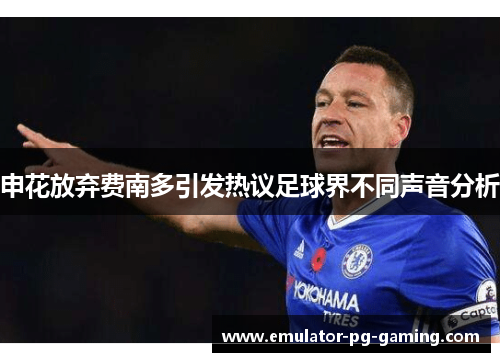 申花放弃费南多引发热议足球界不同声音分析 申花放弃费南多引发热议足球界不同声音分析