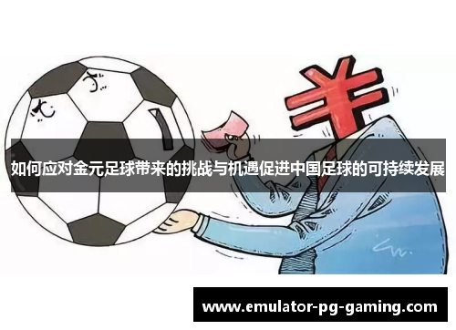 如何应对金元足球带来的挑战与机遇促进中国足球的可持续发展