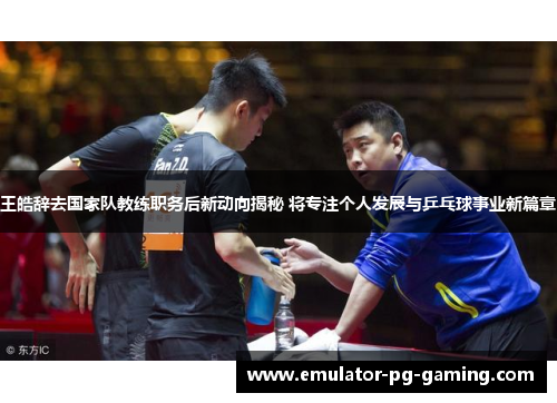 王皓辞去国家队教练职务后新动向揭秘 将专注个人发展与乒乓球事业新篇章