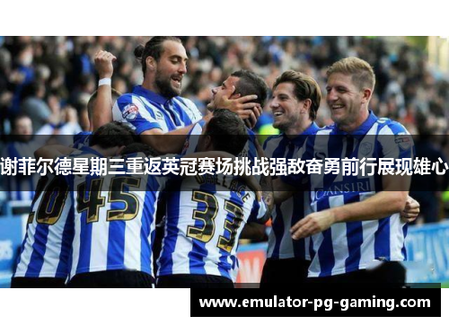 谢菲尔德星期三重返英冠赛场挑战强敌奋勇前行展现雄心 谢菲尔德星期三重返英冠赛场挑战强敌奋勇前行展现雄心