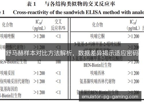 舒马赫样本对比方法解析，数据差异揭示适应密码