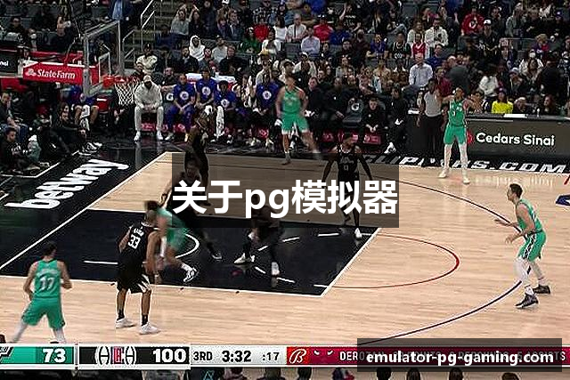 关于pg模拟器
